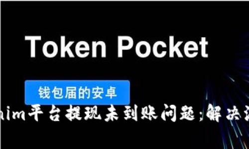 详细解析Tokenim平台提现未到账问题：解决流程与常见原因