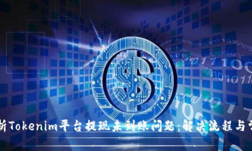 详细解析Tokenim平台提现未到账问题：解决流程与常见原因