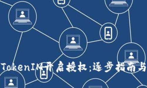 如何使用TokenIM开启授权：逐步指南与实用技巧
