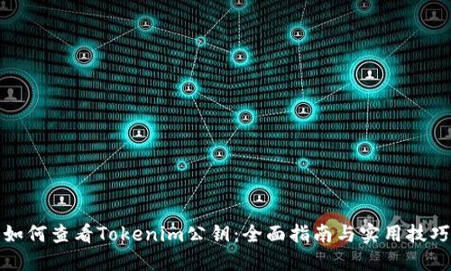 如何查看Tokenim公钥：全面指南与实用技巧