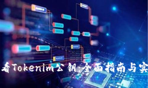 如何查看Tokenim公钥：全面指南与实用技巧