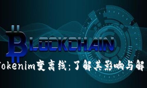 bageTokenim变离线：了解其影响与解决方法