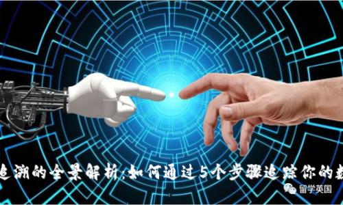 虚拟币追溯的全景解析：如何通过5个步骤追踪你的数字资产