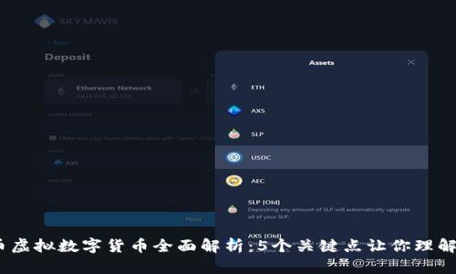 2023年芬达币虚拟数字货币全面解析：5个关键点让你理解其潜力和风险