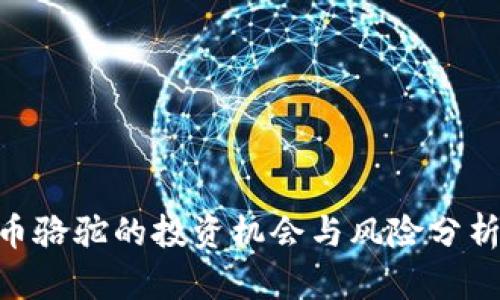 : 2023年虚拟币骆驼的投资机会与风险分析：10个关键要点