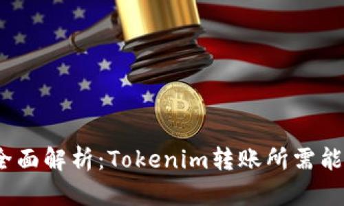 2023年全面解析：Tokenim转账所需能量及技巧
