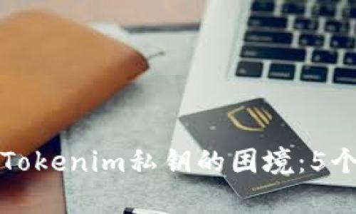 如何应对丢失Tokenim私钥的困境：5个有效解决方案