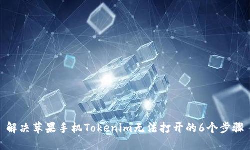 解决苹果手机Tokenim无法打开的6个步骤