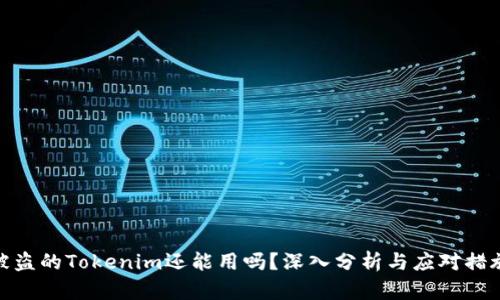 被盗的Tokenim还能用吗？深入分析与应对措施