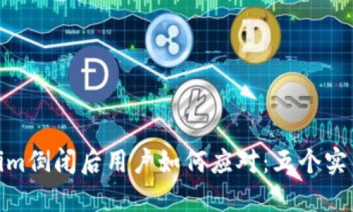 Tokenim倒闭后用户如何应对：五个实用策略