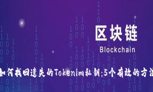 如何找回遗失的Tokenim私钥：5个有效的方法