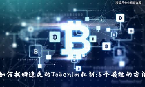 如何找回遗失的Tokenim私钥：5个有效的方法