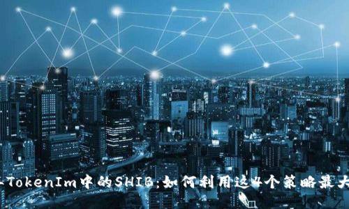 2023年TokenIm中的SHIB：如何利用这4个策略最大化收益