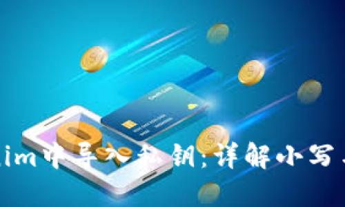 如何在Tokenim中导入私钥：详解小写与大写的区别
