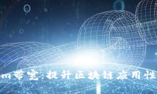 **了解Tokenim带宽：提升区块链应用性能的关键因素