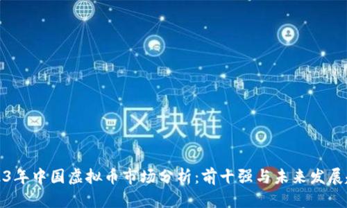2023年中国虚拟币市场分析：前十强与未来发展趋势