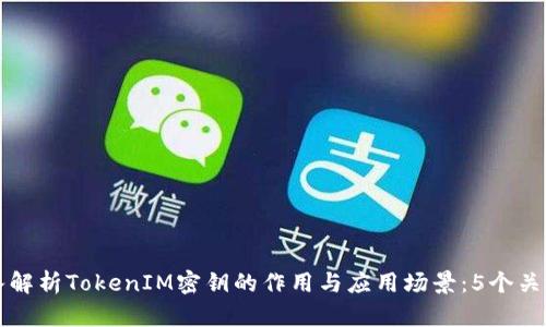 深入解析TokenIM密钥的作用与应用场景：5个关键点
