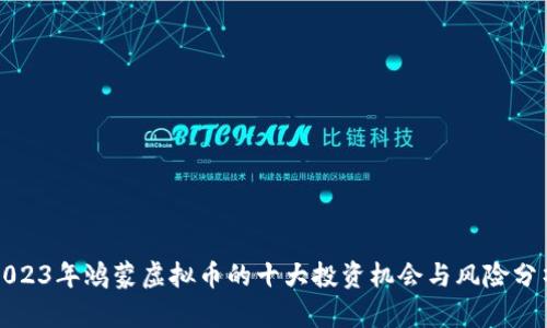 2023年鸿蒙虚拟币的十大投资机会与风险分析