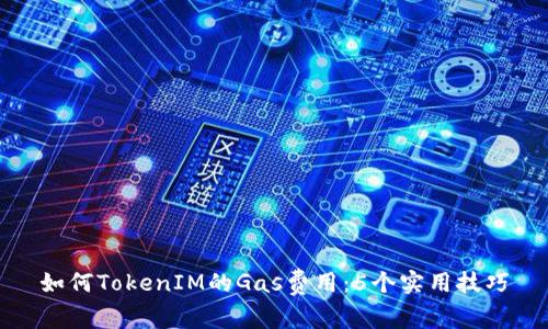 如何TokenIM的Gas费用：5个实用技巧