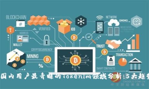 2023年国内用户最青睐的Tokenim领域分析：5大趋势与机会