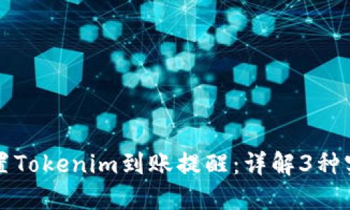 如何设置Tokenim到账提醒：详解3种实用方法