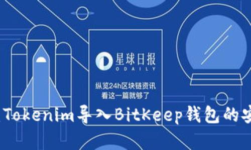 深入分析：Tokenim导入BitKeep钱包的安全性评估