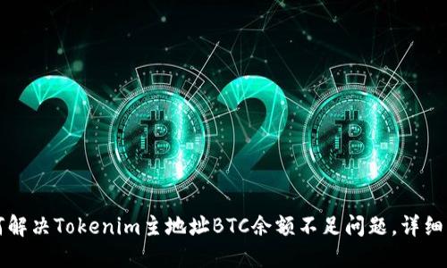 如何解决Tokenim主地址BTC余额不足问题，详细指南