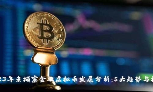 2023年柬埔寨金融虚拟币发展分析：5大趋势与机遇