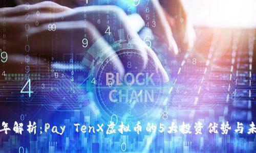  2023年解析：Pay TenX虚拟币的5大投资优势与未来前景