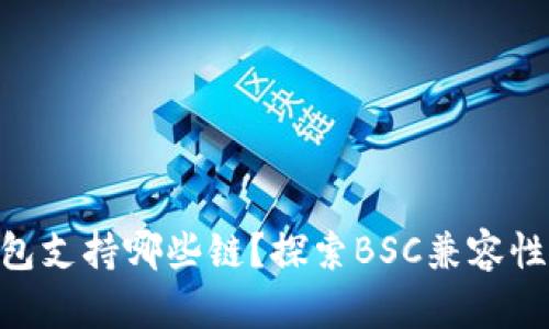 Tokenim钱包支持哪些链？探索BSC兼容性与解决方案