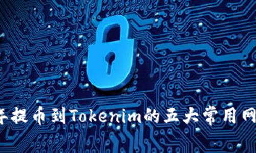 2023年提币到Tokenim的五大常用网络解析