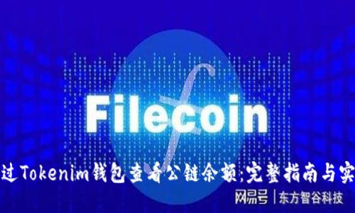 如何通过Tokenim钱包查看公链余额：完整指南与实用技巧