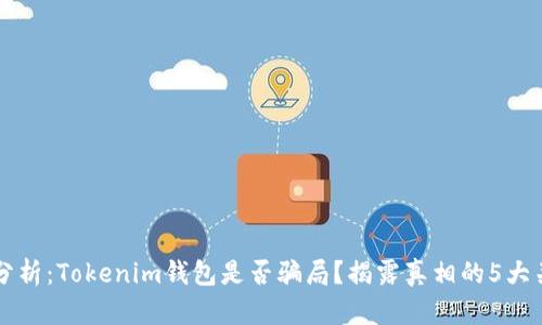 深入分析：Tokenim钱包是否骗局？揭露真相的5大关键点