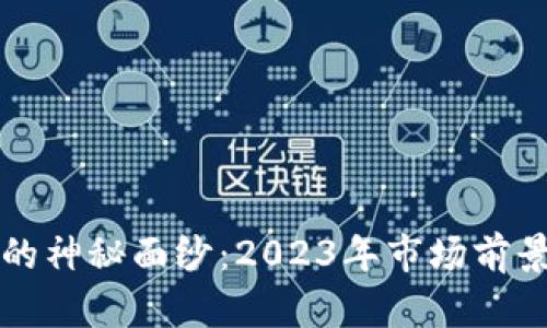 揭开钥匙虚拟币的神秘面纱：2023年市场前景与投资策略分析