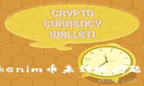如何解决Tokenim币未到账问题：步骤与提示