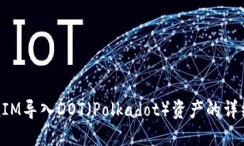 TokenIM导入DOT（Polkadot）资产的详细指南