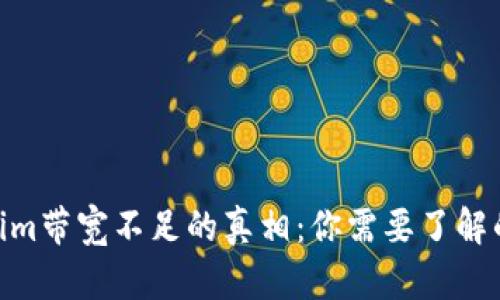 2023年Tokenim带宽不足的真相：你需要了解的5个解决方案