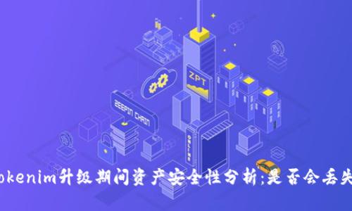 Tokenim升级期间资产安全性分析：是否会丢失？