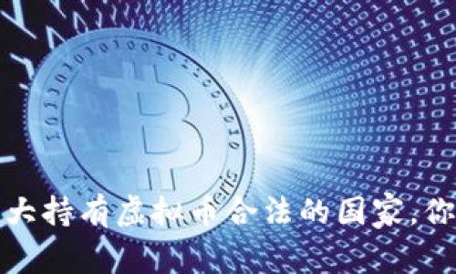 2023年十大持有虚拟币合法的国家，你了解多少？