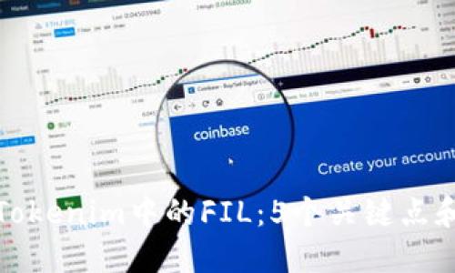 深入了解Tokenim中的FIL：5个关键点和投资策略