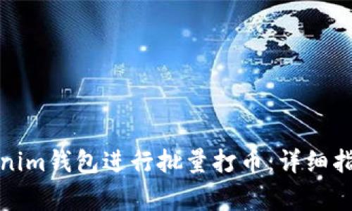 如何使用Tokenim钱包进行批量打币：详细指南与注意事项