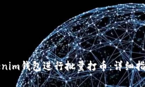 如何使用Tokenim钱包进行批量打币：详细指南与注意事项