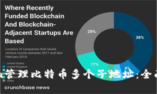 如何使用Tokenim管理比特币多个子地址：全面指南与最佳实践