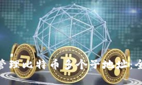 如何使用Tokenim管理比特币多个子地址：全面指南与最佳实践