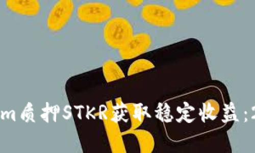如何通过Tokenim质押STKR获取稳定收益：2024年完整指南