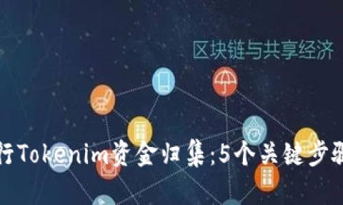 如何高效进行Tokenim资金归集：5个关键步骤与实用技巧