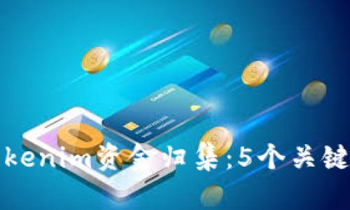 如何高效进行Tokenim资金归集：5个关键步骤与实用技巧