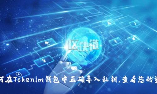 如何在Tokenim钱包中正确导入私钥，查看您的资产