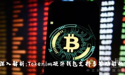 2023年深入解析：Tokenim硬件钱包支持多签功能的实用指南