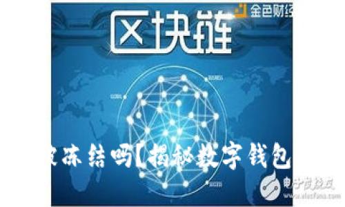 Tokenim钱包会被冻结吗？揭秘数字钱包安全性的5大要素